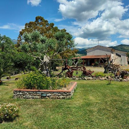 Azienda Agrituristica Verdevalle 시세랄레 외부 사진