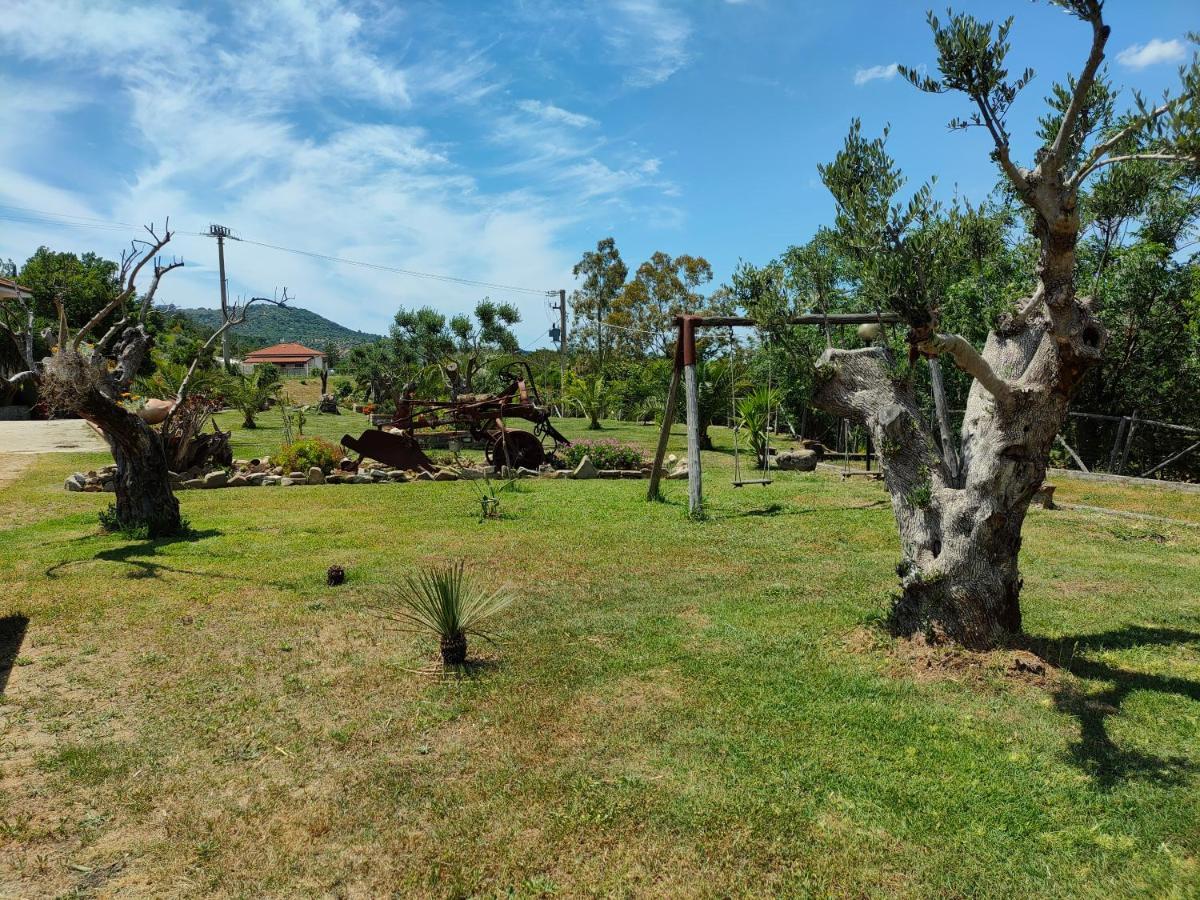 Azienda Agrituristica Verdevalle 시세랄레 외부 사진